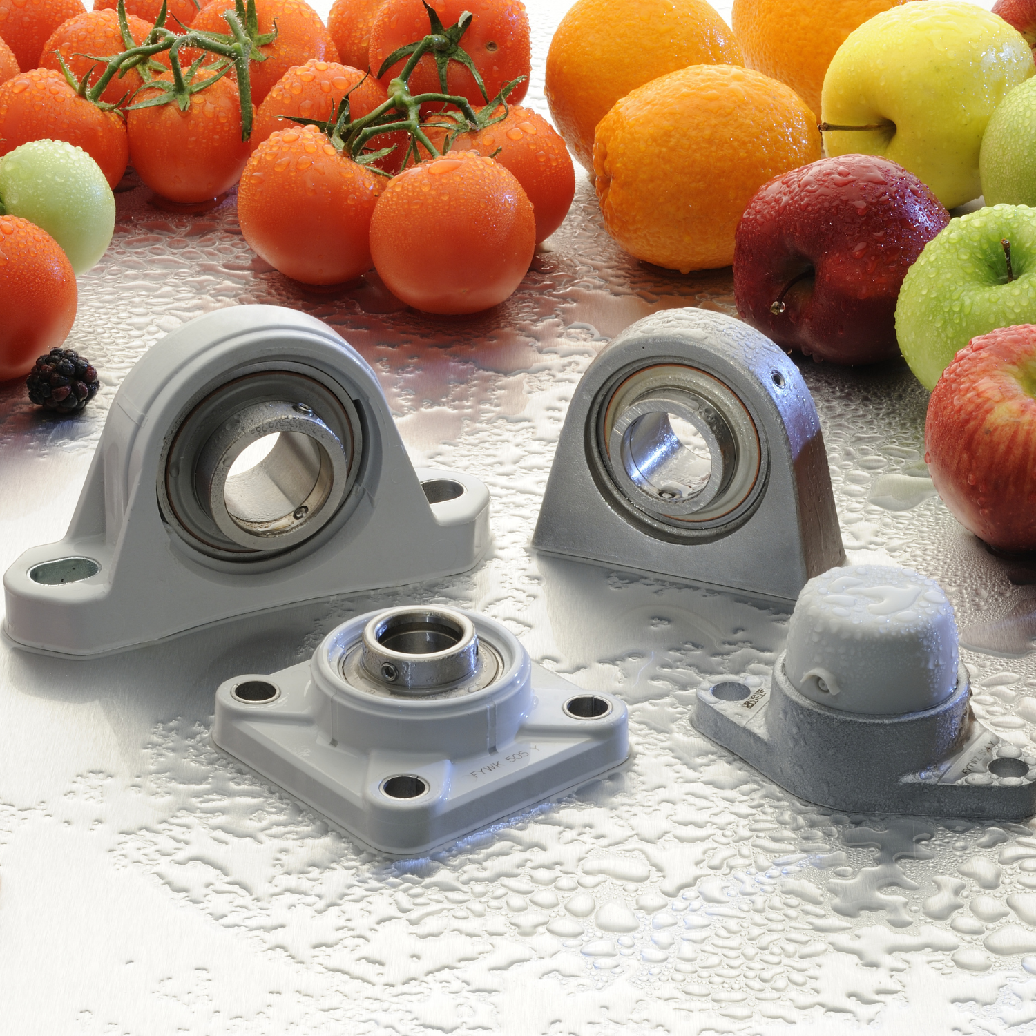 cuscinetti e supporti food & beverage